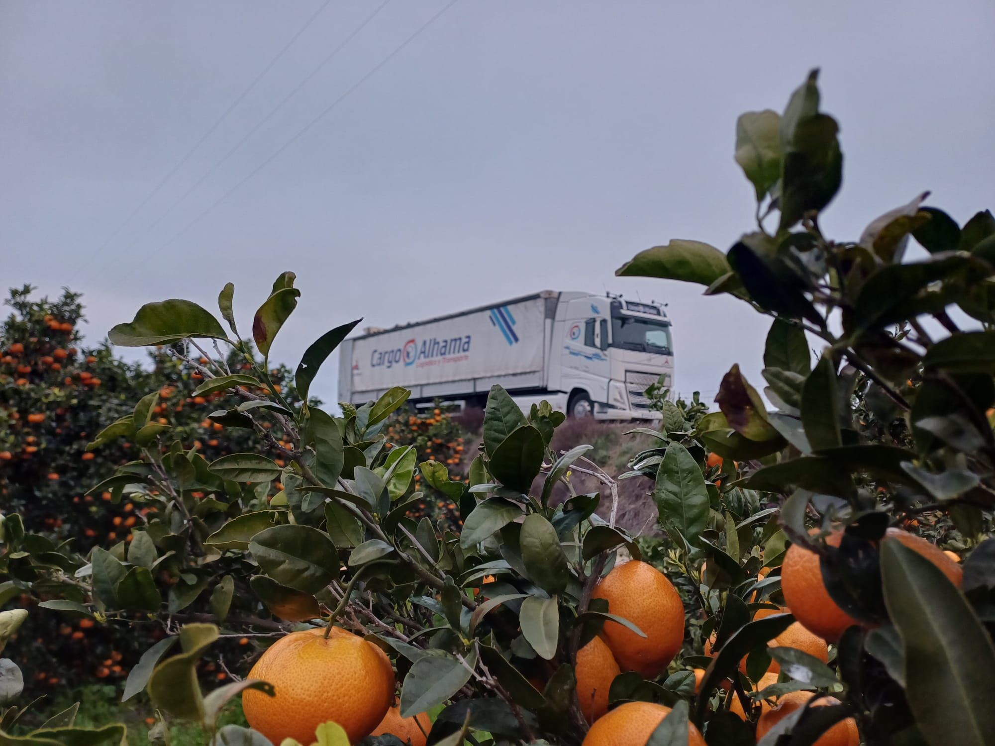 Camión de la flota Cargo Alhama